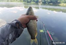 气温飙升鱼口差？那是你没选对天气！六月野钓，认准这3种天气，下竿就有鱼，老钓友都懂！