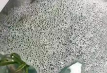 鱼缸水面有气泡不破怎么回事？如何解决鱼缸水面有气泡的问题？