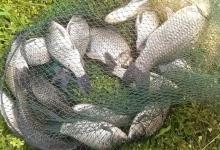 钓底没口就试试钓浮！这3种情况钓浮，往往有意外的惊喜！