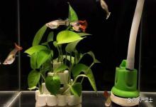 速看！大家都追求的“空气缸”是怎么做到的？老鱼哥告诉你秘诀