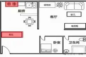 家庭风水和金鱼的关系