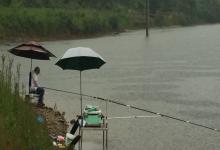 雨季钓鱼,别瞎忙活!雨前雨后选不对,守一天也白搭