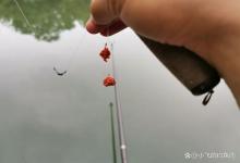 扔掉网上的调漂口诀,野钓这样调才实用