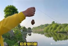 钓黑坑鲤鱼铅皮炮的使用技巧