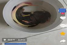 陕西男子钓获“奔波儿灞”同款鲶鱼,圆滚滚看似可爱,实为亚马逊掠食鱼类