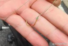 夏季守鲤鱼这2种鱼钩最好别用,已经有人吃过亏了