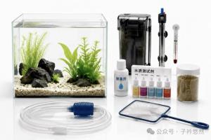 养鱼别乱买设备!老鱼友公认4样刚需,剩下大多是智商税