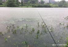刚下完大雨别急着出钓，遇到这样的情况，一不小心就空军