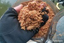 散炮钓鲤鱼，80%的钓友都做错了！难怪鱼一直不进窝