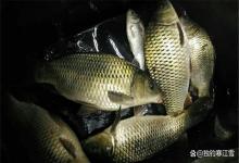 夏天野钓，为什么小漂反而钓不到鱼？不是漂不好，是你的吃铅量选反了！