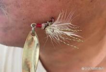 鱼钩扎手禁止乱拽！很多人都做错了，1分钟讲清正确做法