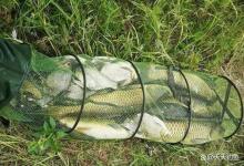 夏季想钓大物，只认这3种钓位！很多钓点根本藏不住大鱼