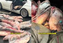 翻车了?安徽几名男子钓鱼几千斤送环卫工,细节曝光疑似是在锚鱼