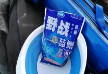 野战蓝鲫:钓鱼佬的“白月光”,为啥有人爱有人嫌?