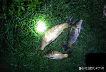夜晚野钓的4个技巧