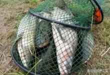 野钓没口别急着换饵！白露后这2个位置，坐得越久越没鱼！