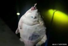 钓鱼佬最怕的4件事,看看你中了几条?