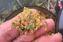 别再盲目抽窝！正确补窝手法，稳住鱼群久钓不断。