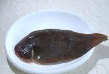 箬板鱼是什么鱼？