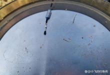 禁止用小钩挂蚯蚓!想钓大板鲫,先把鱼钩给换掉