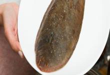 亚洲油鲽是什么鱼？
