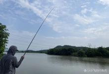 深秋的鲫鱼几点开口？这几个时间段最容易上大板鲫！