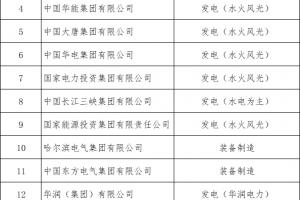 我国的电力业务大型央企名录 南方电网和国家电网公司主要组织架构 地方独立电网企业名录