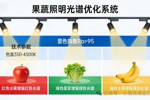 果蔬店轨道灯，生鲜照明专家：果蔬店轨道灯如何让果蔬更鲜亮？