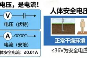 静电几万伏都电不死人，为啥 220V 家电能致命？