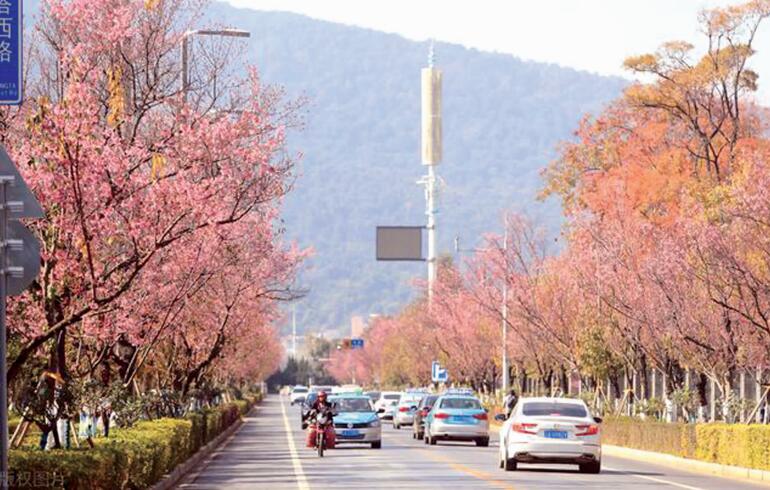 昆明：提升城市环境夜品质 让市民享受便利生活