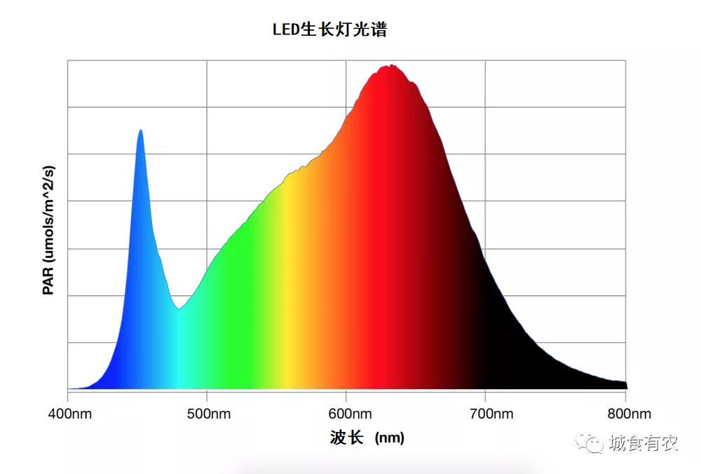 设施农业如何应用LED灯？