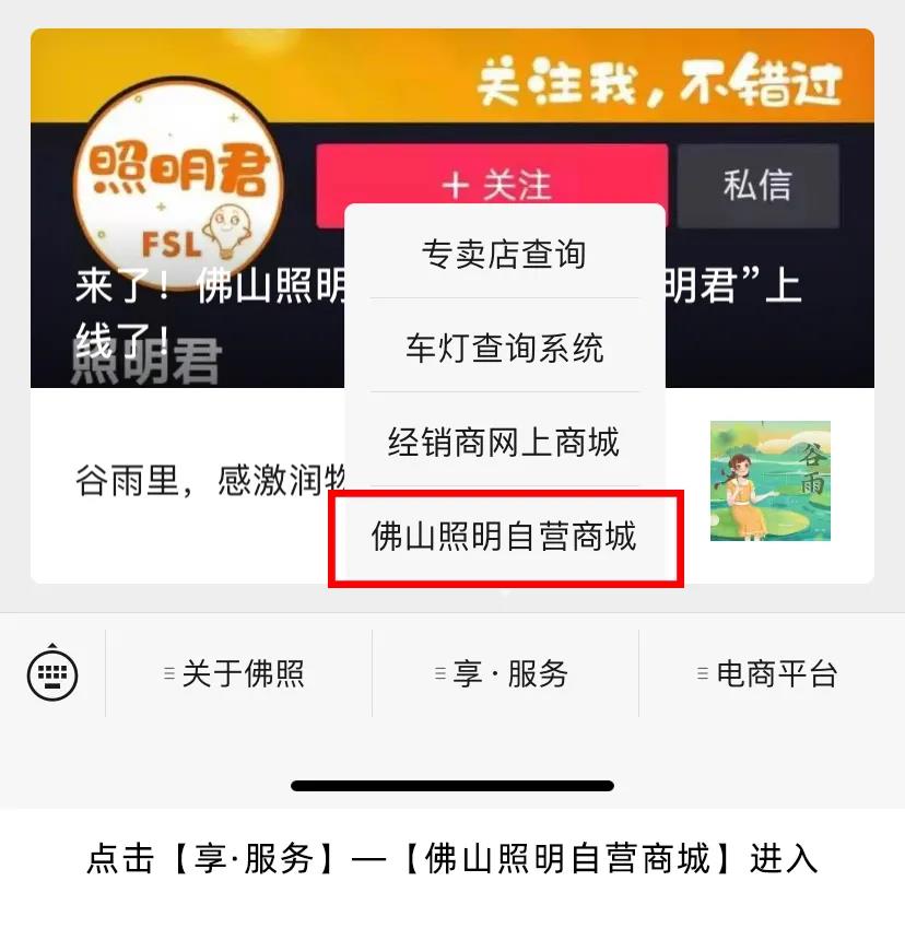 佛山照明自营商城正式上线运营