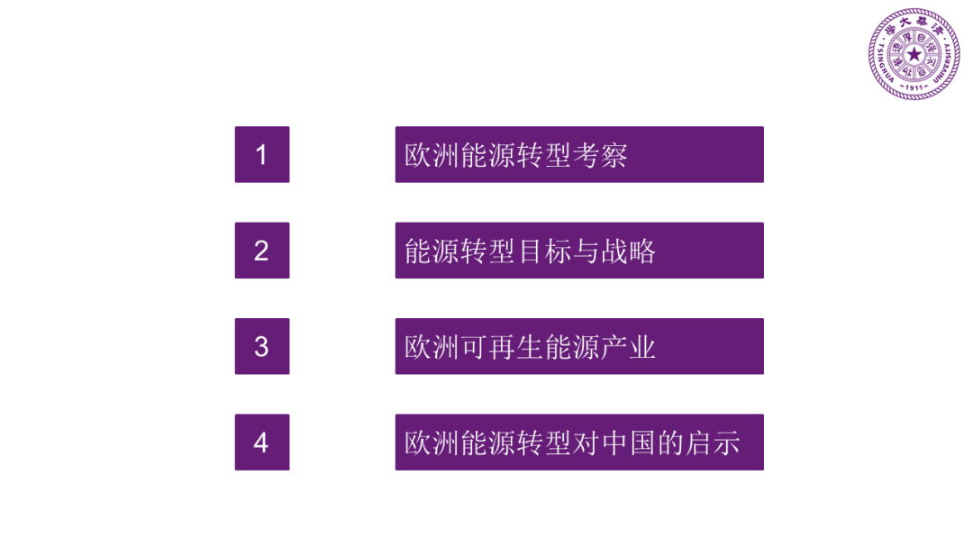 碳中和愿景下对欧洲能源转型研讨会