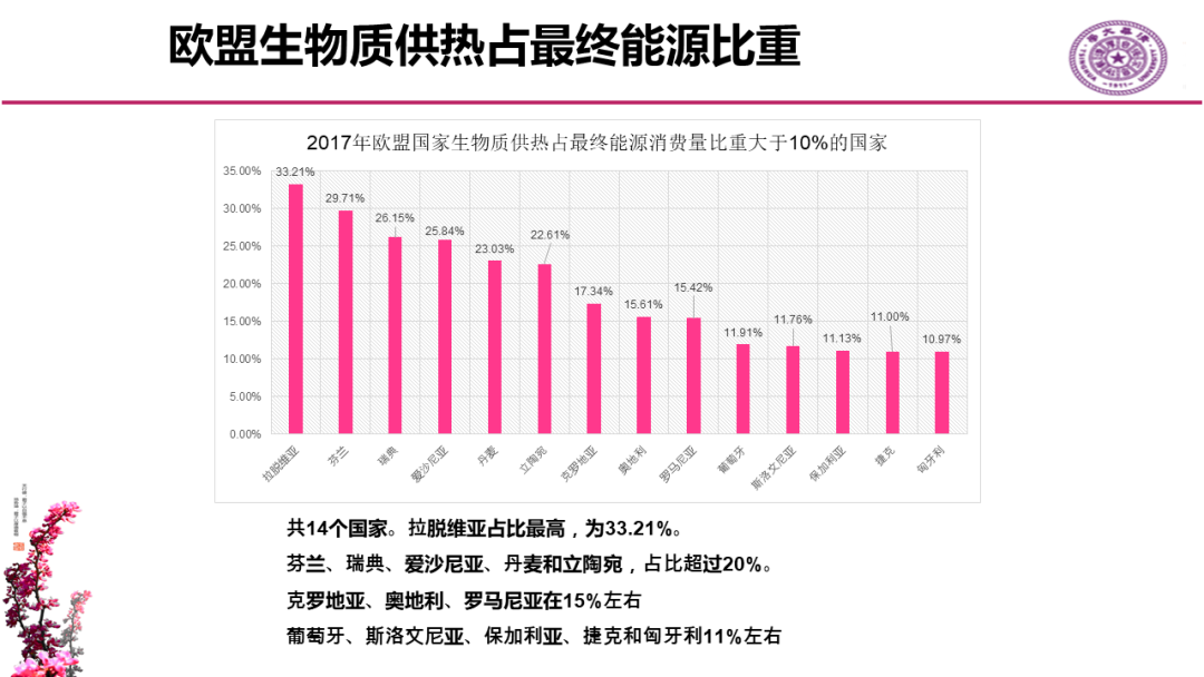 碳中和愿景下对欧洲能源转型研讨会