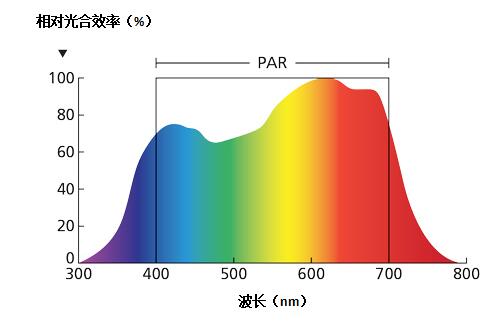 选择LED园艺照明系统时需考虑哪些因素？如何实现能源效率？