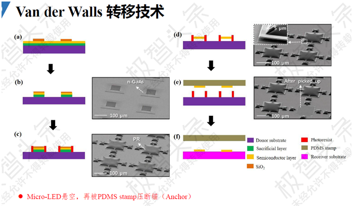 【极智课堂】复旦大学田朋飞：Micro-LED显示全彩化关键技术