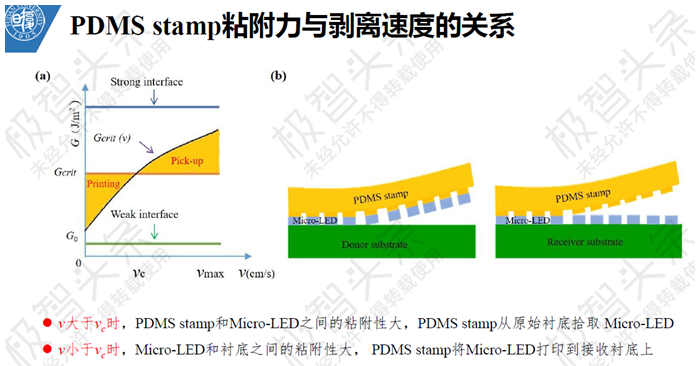 【极智课堂】复旦大学田朋飞：Micro-LED显示全彩化关键技术