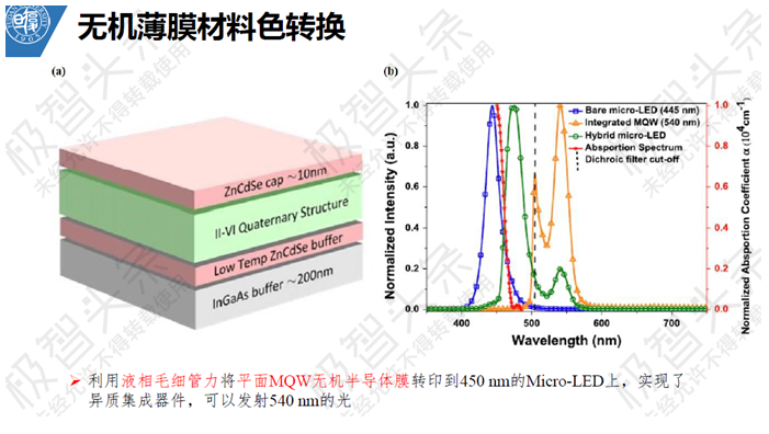 【极智课堂】复旦大学田朋飞：Micro-LED显示全彩化关键技术