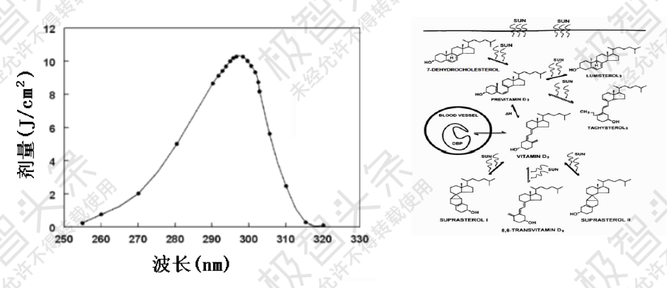 【极智课堂】浙江大学牟同升：紫外线剂量和光生物安全评价