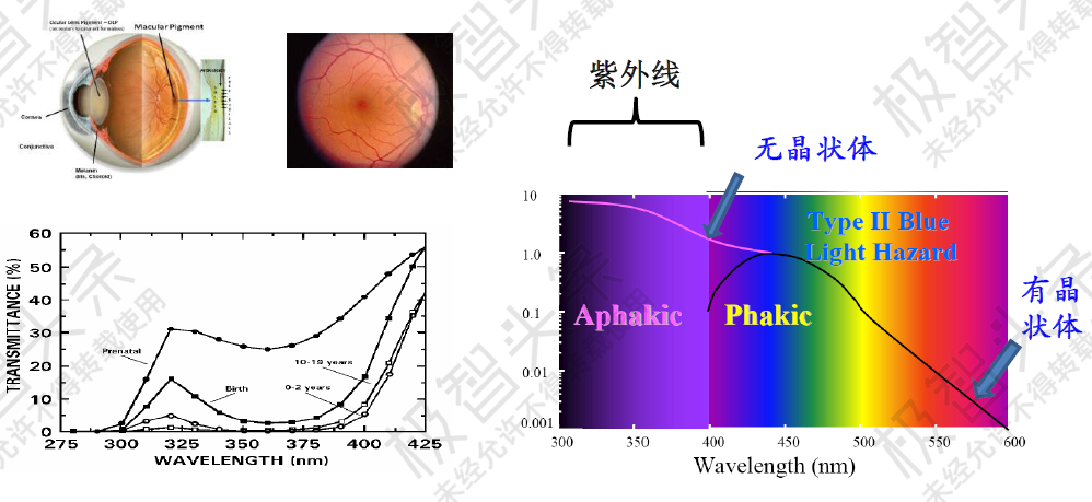 【极智课堂】浙江大学牟同升：紫外线剂量和光生物安全评价