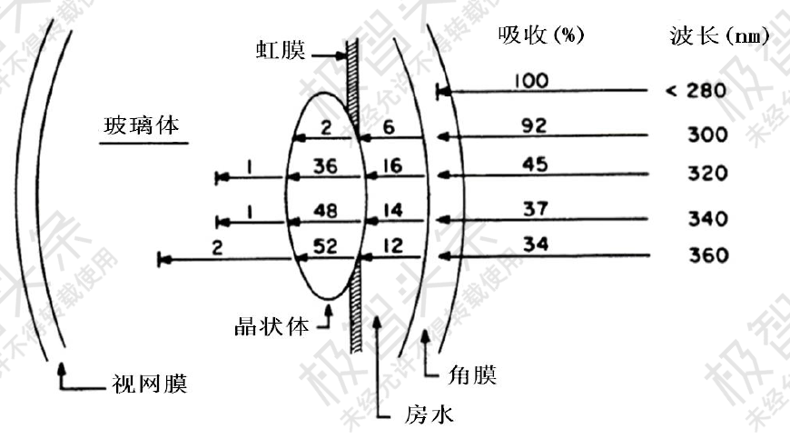 【极智课堂】浙江大学牟同升：紫外线剂量和光生物安全评价