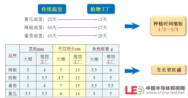 【极智课堂】中科三安李晶：LED植物工厂及育苗的产业化