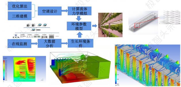 【极智课堂】中科三安李晶：LED植物工厂及育苗的产业化