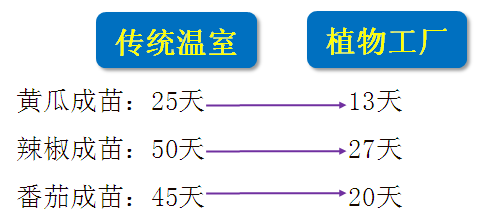 【极智课堂】中科三安李晶：LED植物工厂及育苗的产业化