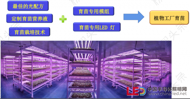 【极智课堂】中科三安李晶：LED植物工厂及育苗的产业化