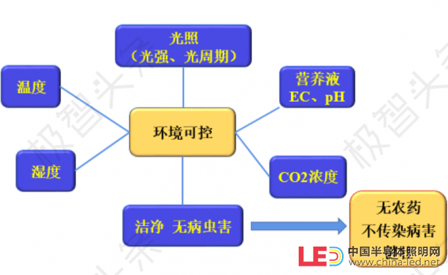 【极智课堂】中科三安李晶：LED植物工厂及育苗的产业化