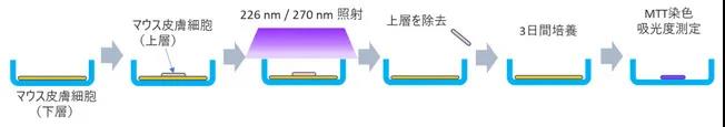 旭化成与奈良医科大学合作验证确认226nm UVC LED可灭活新冠病毒且对动物细胞影响小