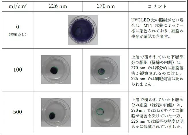 旭化成与奈良医科大学合作验证确认226nm UVC LED可灭活新冠病毒且对动物细胞影响小