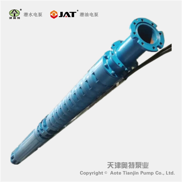 津奥特深井潜水泵震动原因分析