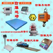 防爆电子秤 十二大分类